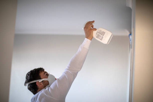 Best Local Mold Removal Service  in Desert Hills, AZ