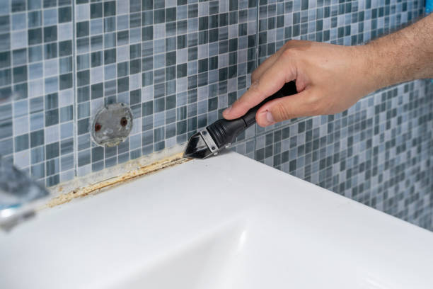 Best Best Mold Removal Companies  in Desert Hills, AZ